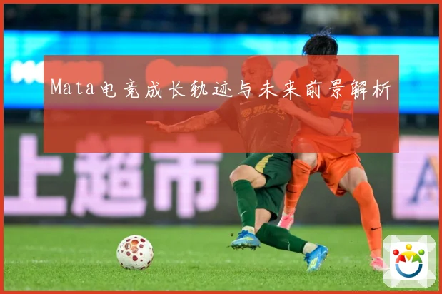Mata电竞成长轨迹与未来前景解析
