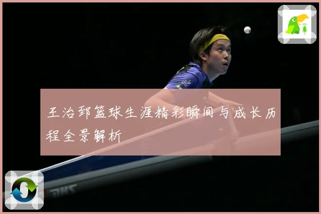 王治郅篮球生涯精彩瞬间与成长历程全景解析
