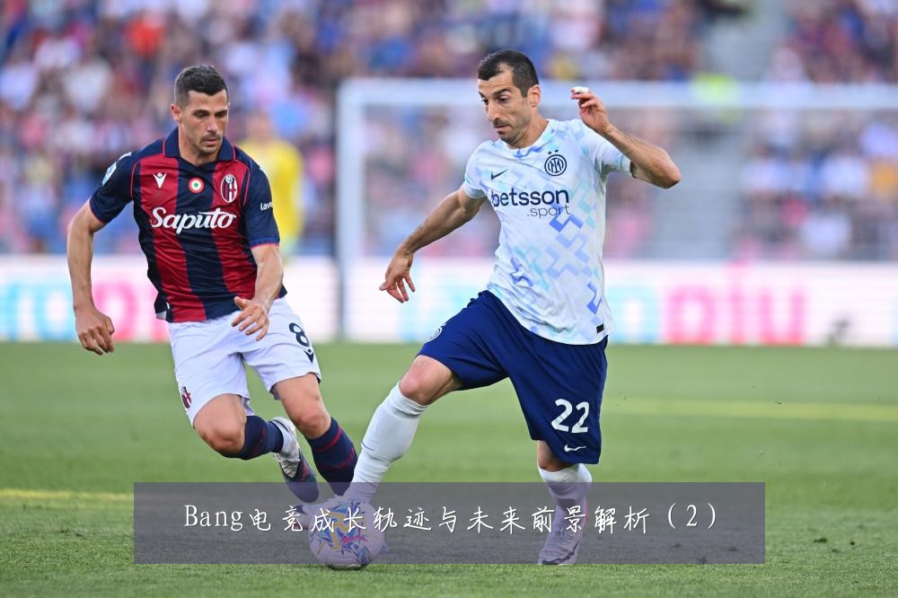 Bang电竞成长轨迹与未来前景解析(2)